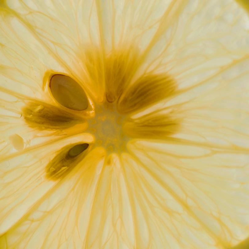 Close-up of a sliced lemon showing its juicy interior.