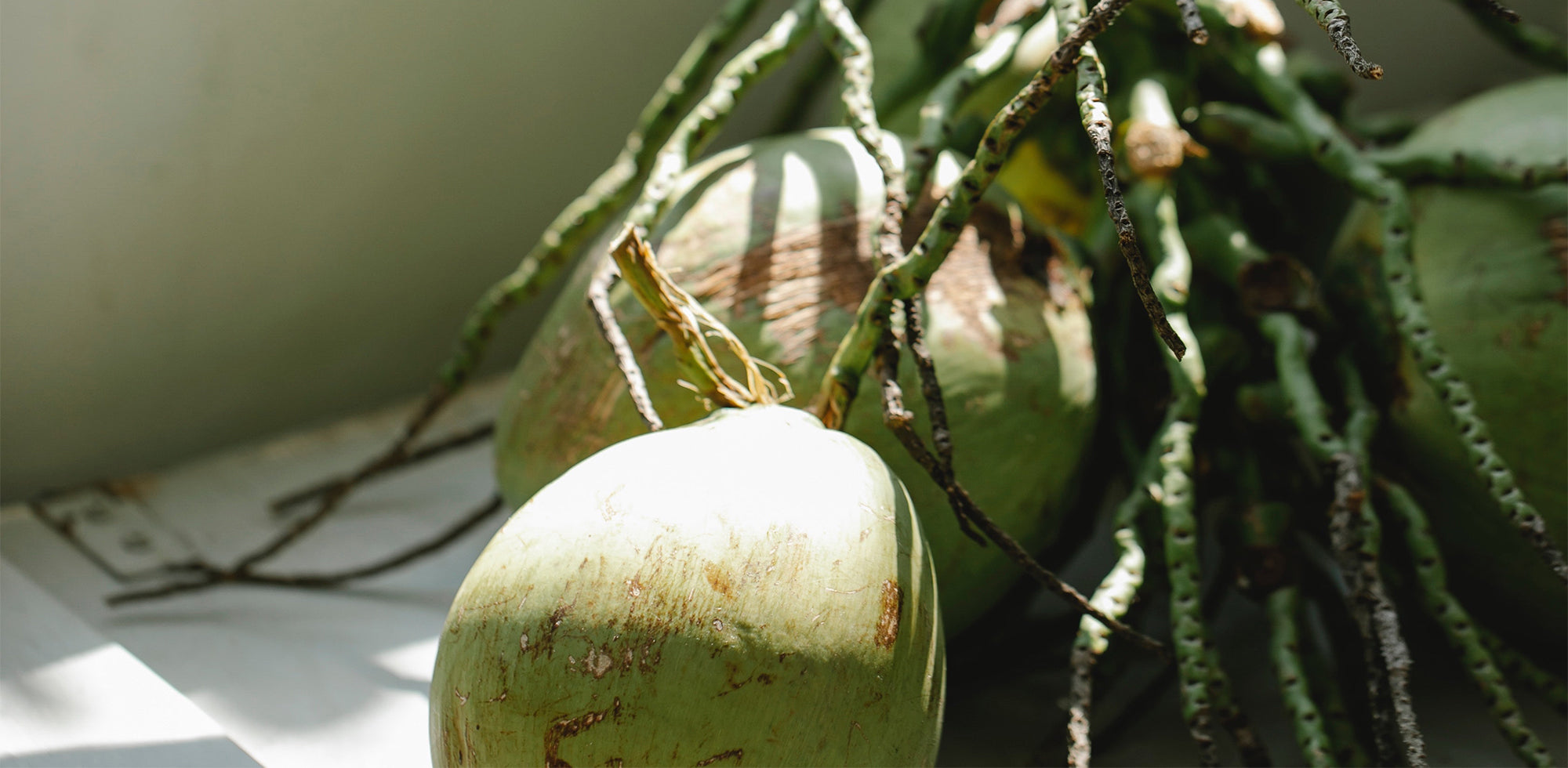 Sunlit green coconuts clustered together, focusing on one with visible textures of its shell.