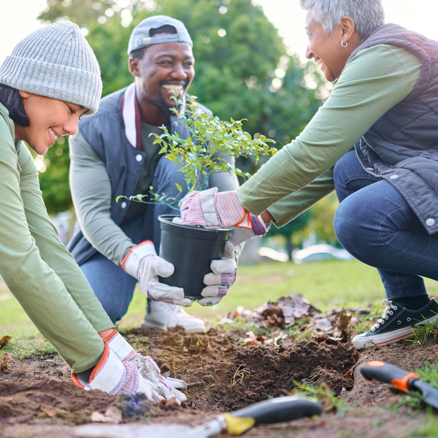 People planting a tree together.